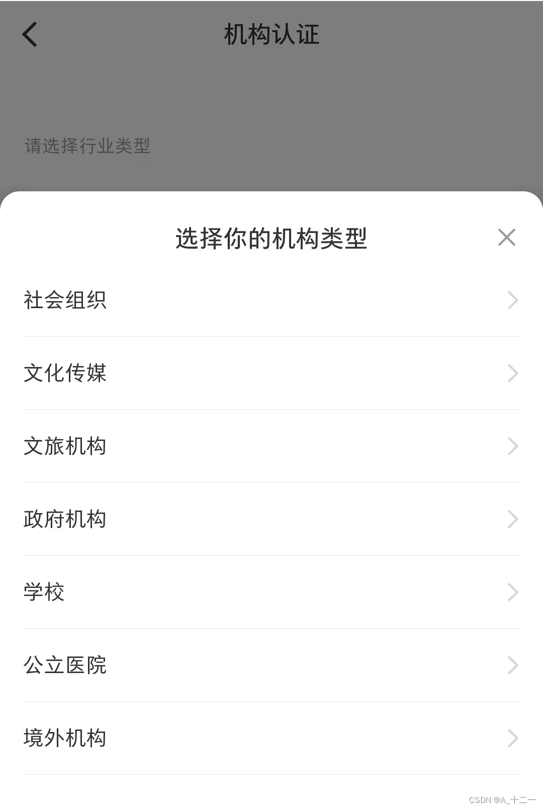 请问小红书海外专业号认证和企业号认证有什么区别?