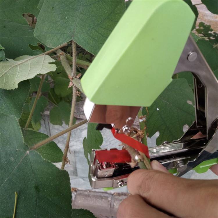 韩国环保绑枝器/节束器/绑蔓器/绑枝机/绑藤器