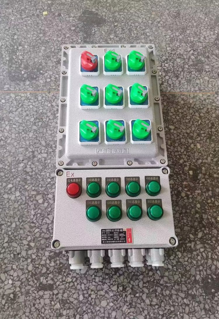 ExdIIBT4防爆配电箱300*600*180