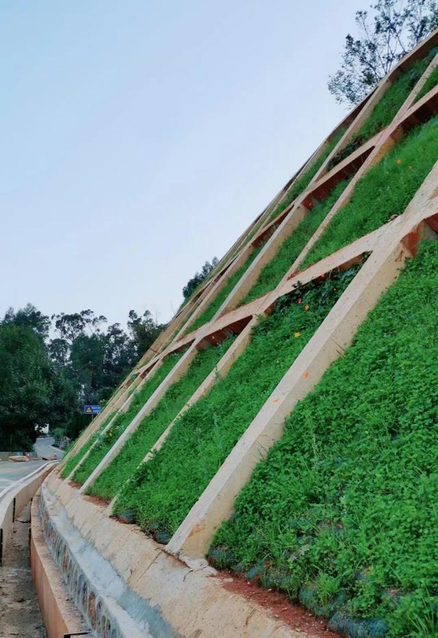 植生袋都是边坡绿化材料,植生袋不同点有以下几条