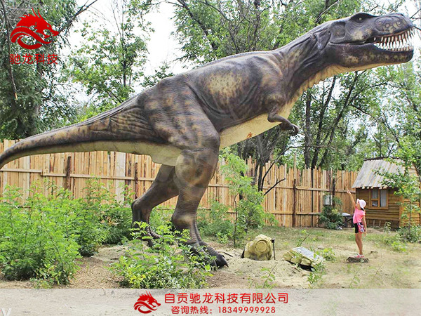 河南开封恐龙展模型租赁,仿真恐龙模型出租视频