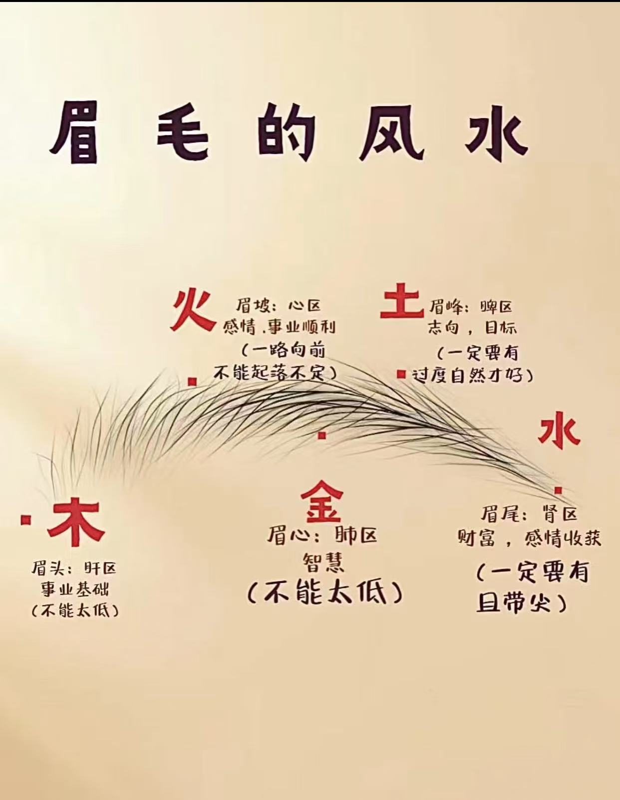 断眉面相的运势吉凶表现7条断眉如剑,决断力强