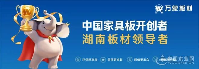 中国板材行业2025-0218年生态板十大品牌有哪些
