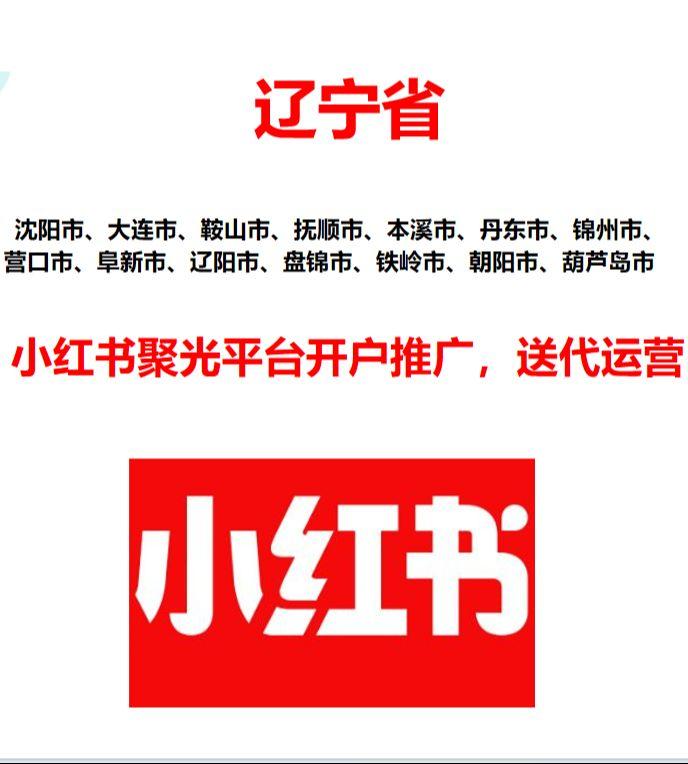 小红书广告一级代理,一站式服务:专业开户、代运营、精准代投