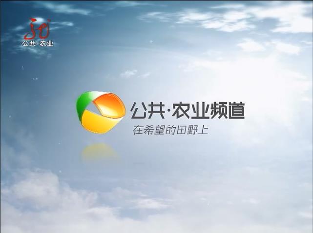 黑龙江交通电台广播广告投放,黑龙江电台广告价格及折扣