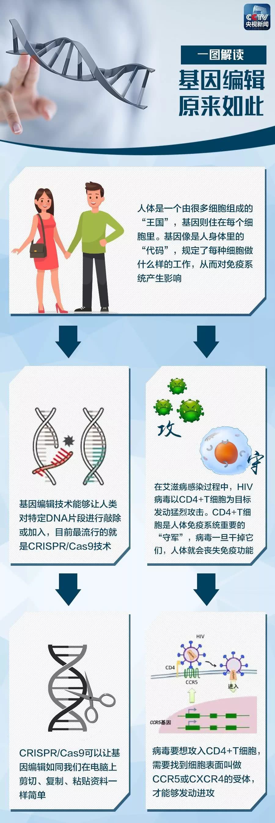 基因敲除实验基因表达基因编辑技术第三方检测机构飞凡检测
