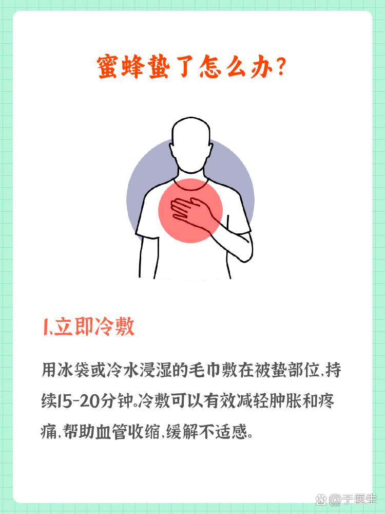 蜂子咬了用什么药
