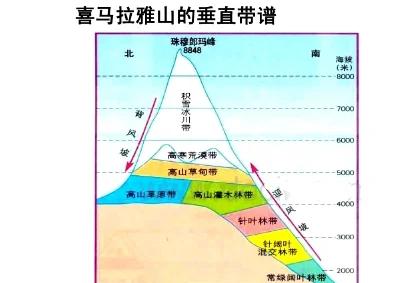 垂直迁徙是什么意思