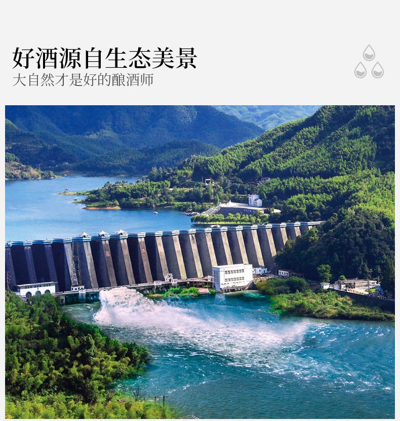 安徽迎驾酒厂地址