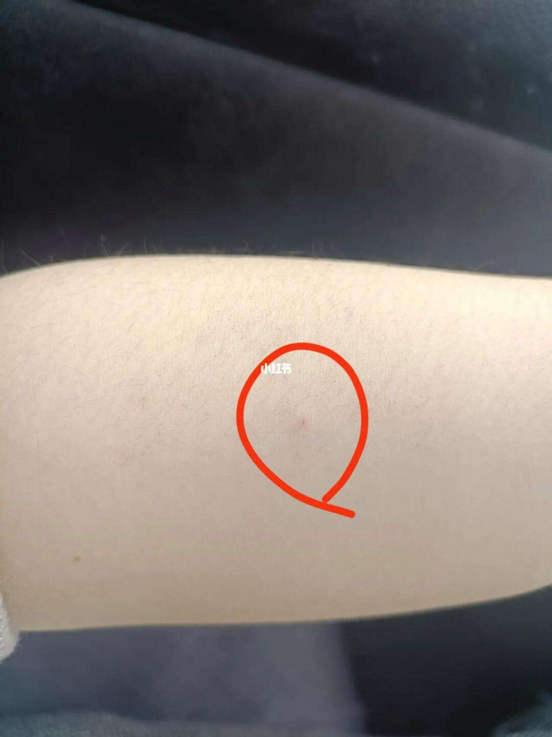 一个点那个符号怎么打
