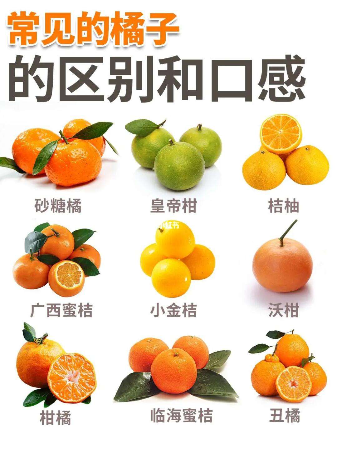 品种和类型