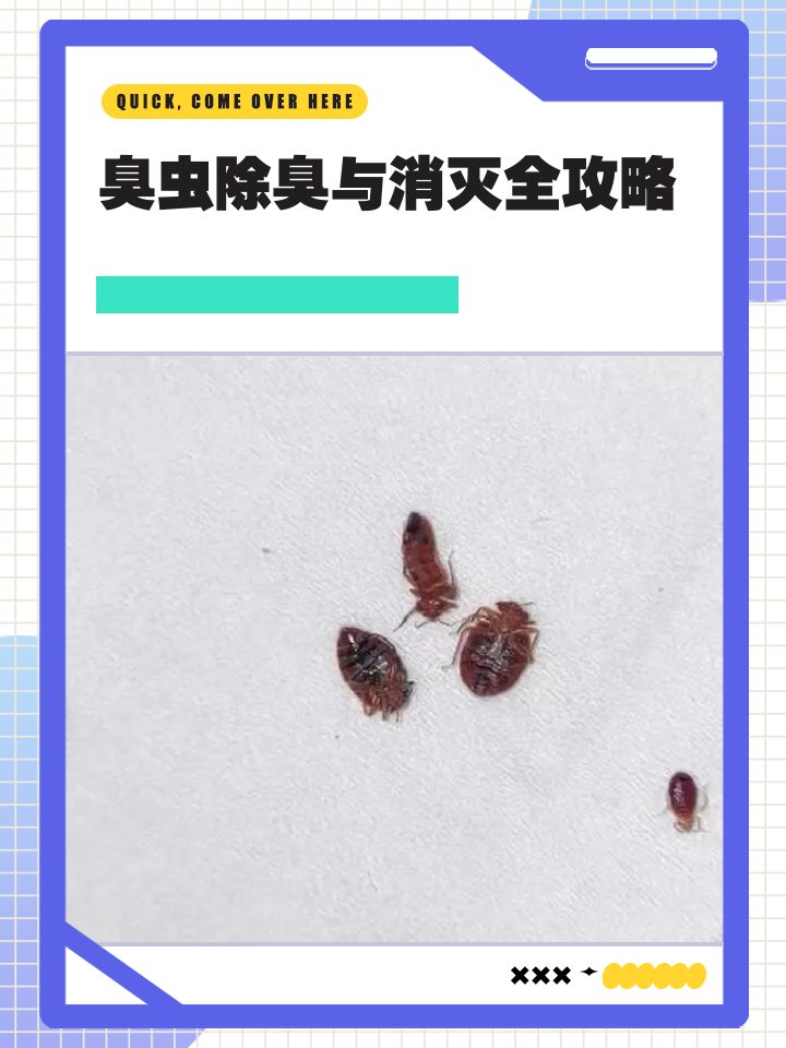 家里有臭虫的征兆