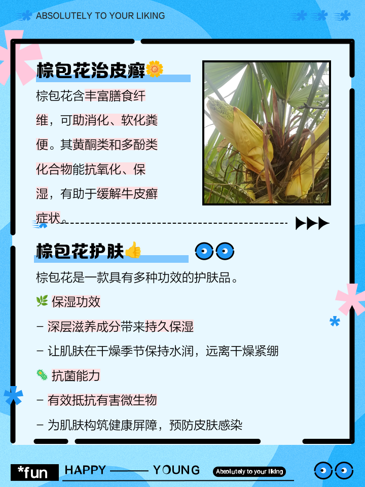 棕树花治什么病最好