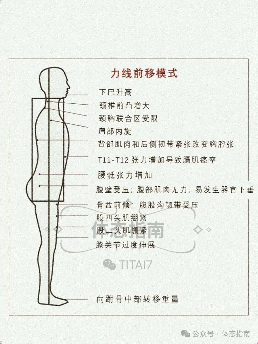 身体力行,意思