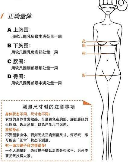 三围是多少才是标准的身材