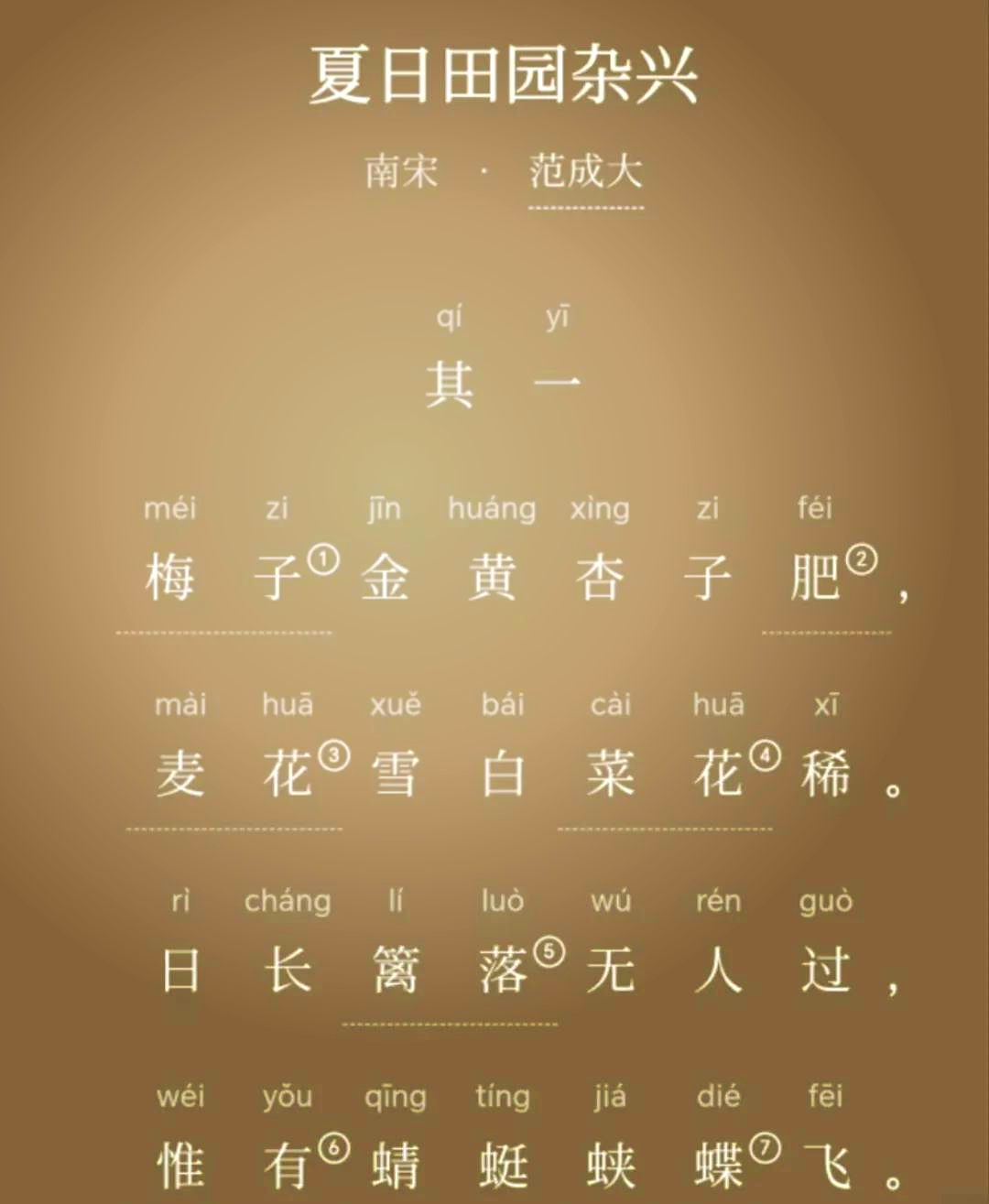 梅子黄时日日晴这首诗叫什么