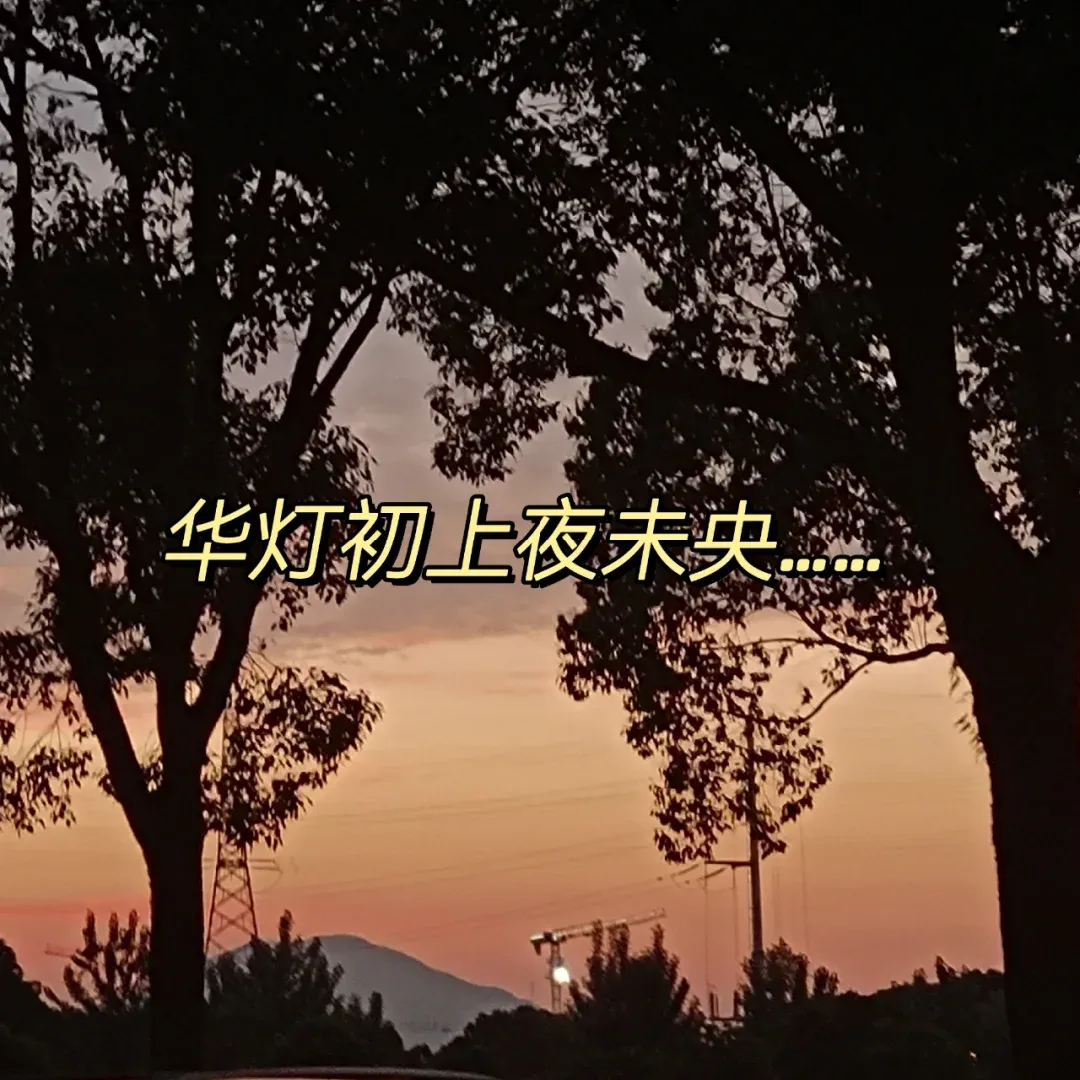 华灯初上,夜未央 歌舞笙箫,古道旁