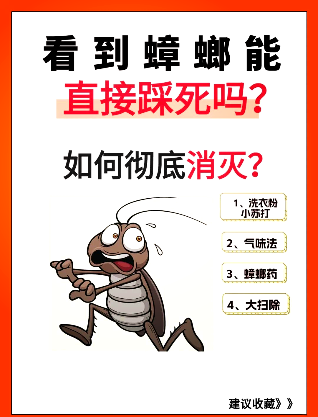 蟑螂会飞吗明确答案