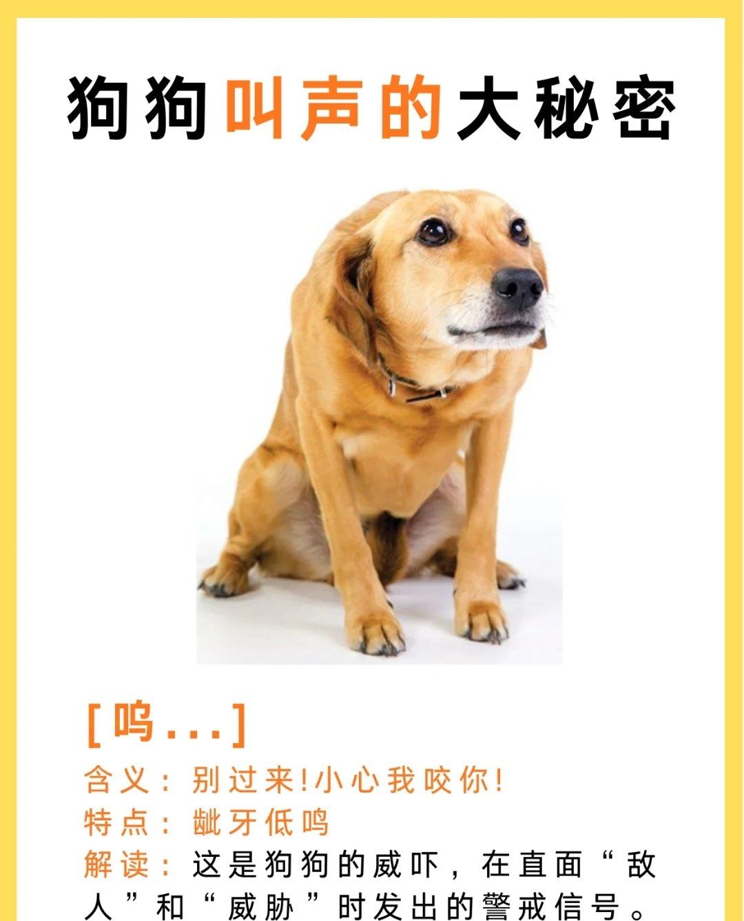 哼唧是哪里的方言