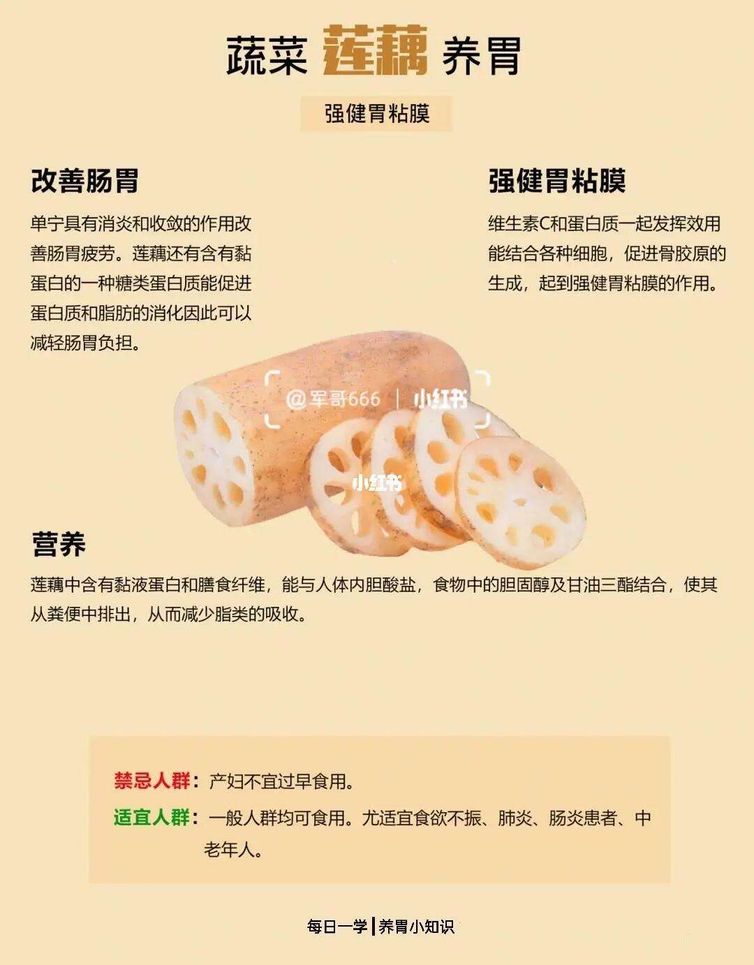 莲藕有哪些功效呢