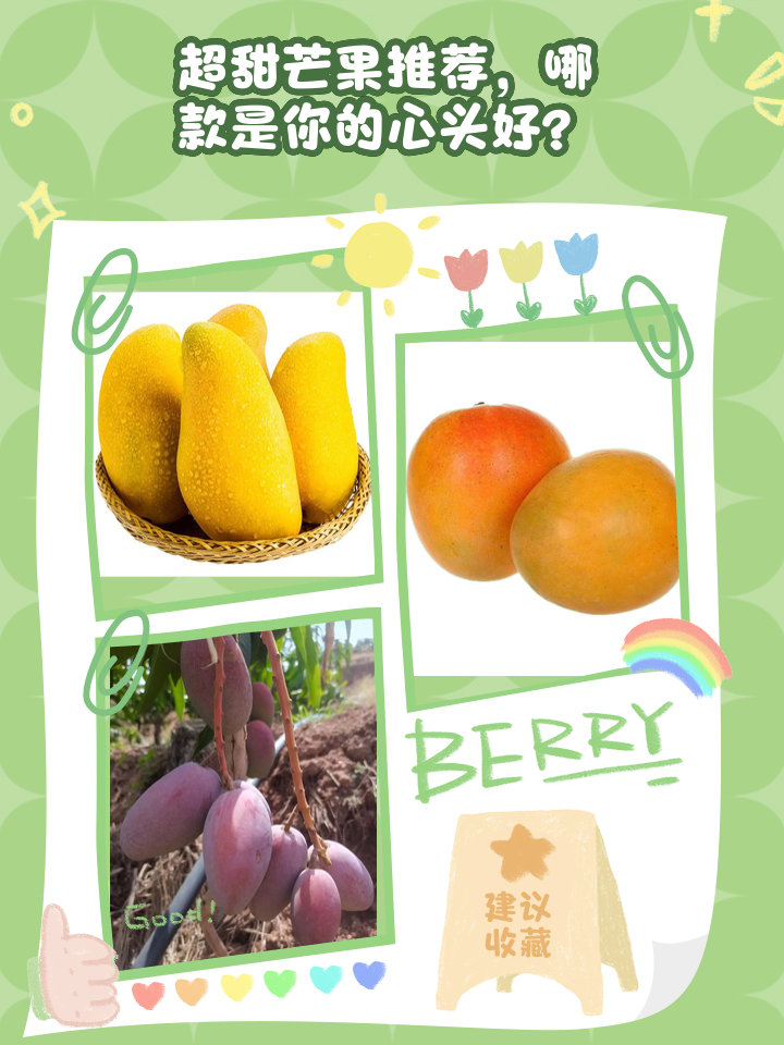 芒果最甜的是哪个品种