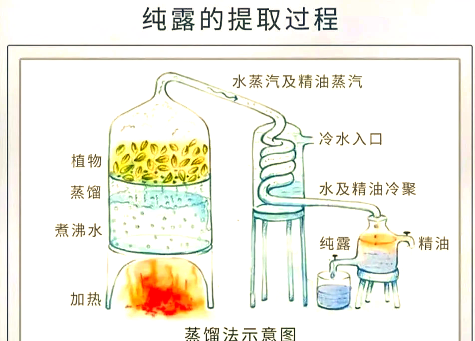 第270页