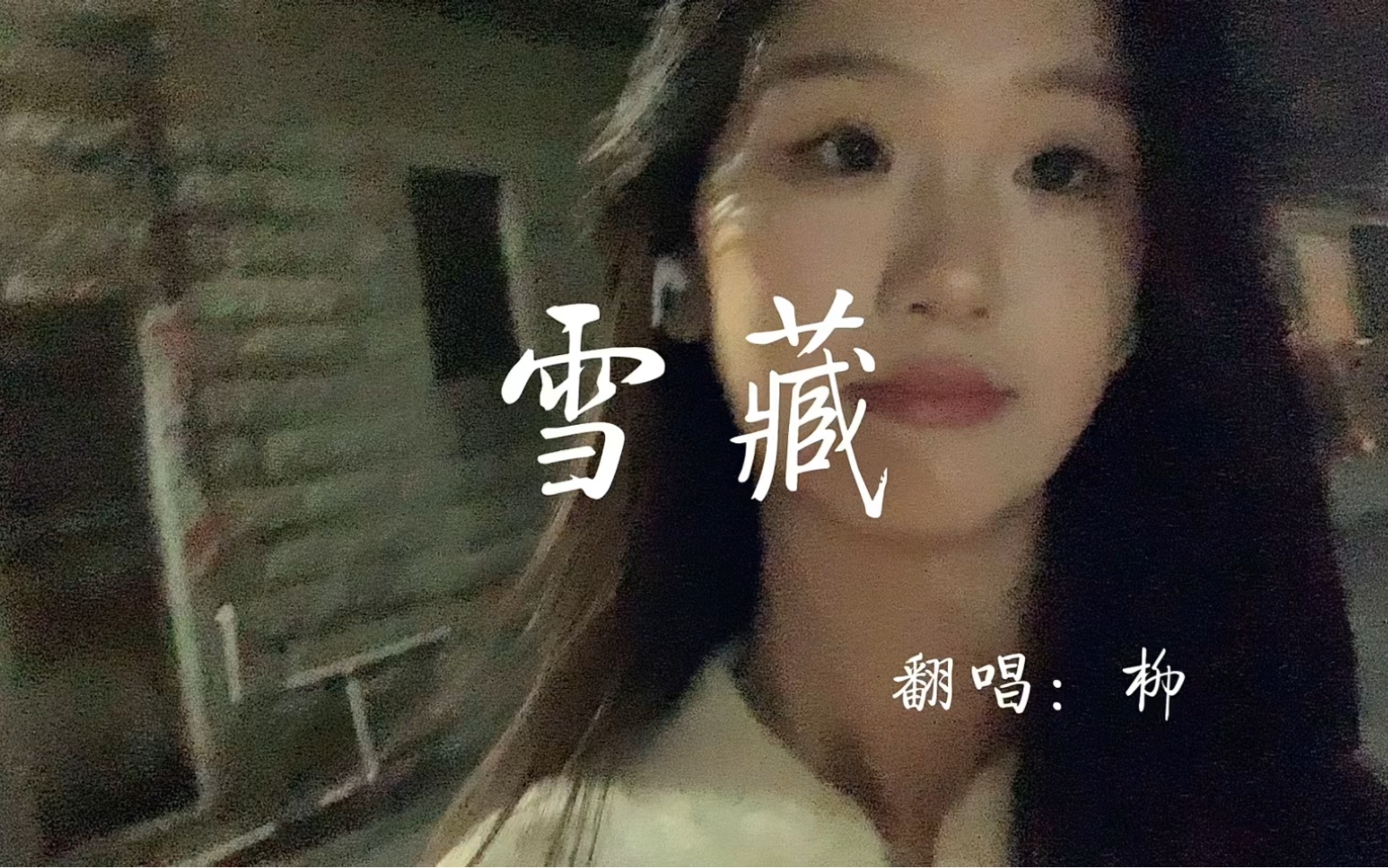雪藏是褒义词还是贬义词