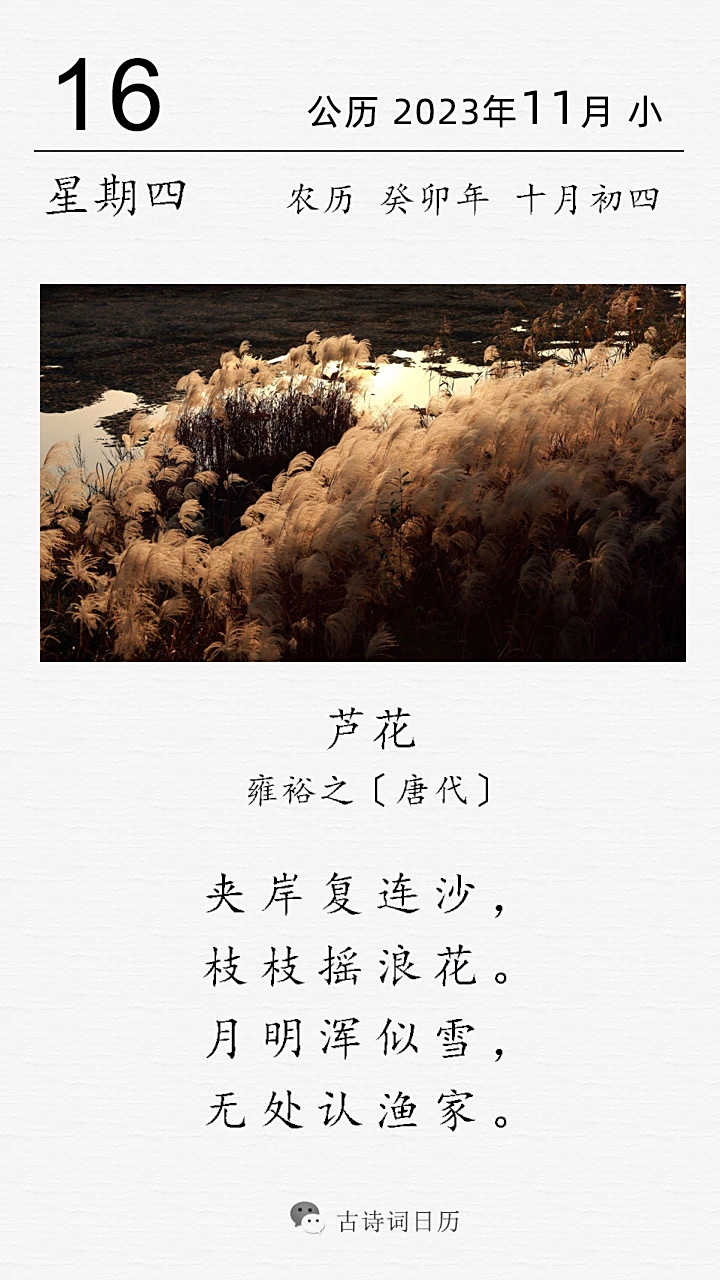 芦花荡在哪