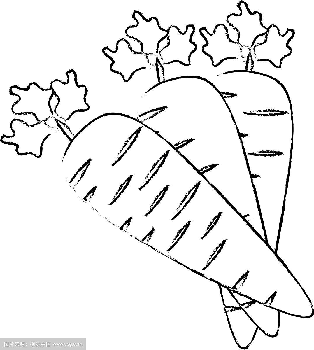 胡萝卜简笔画 儿童简笔画