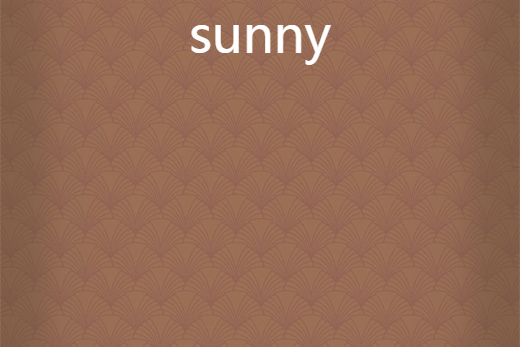 英语sunny是什么意思啊怎么读