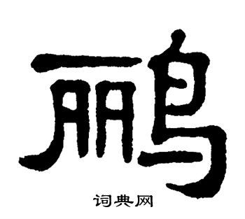 鹂的拼音是什么?