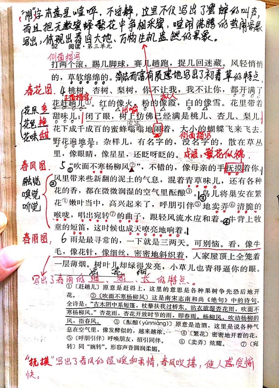 春朱自清课文解析春花图