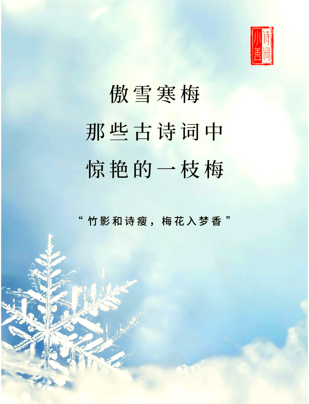 凌寒独自开的全诗是什么诗 几年级
