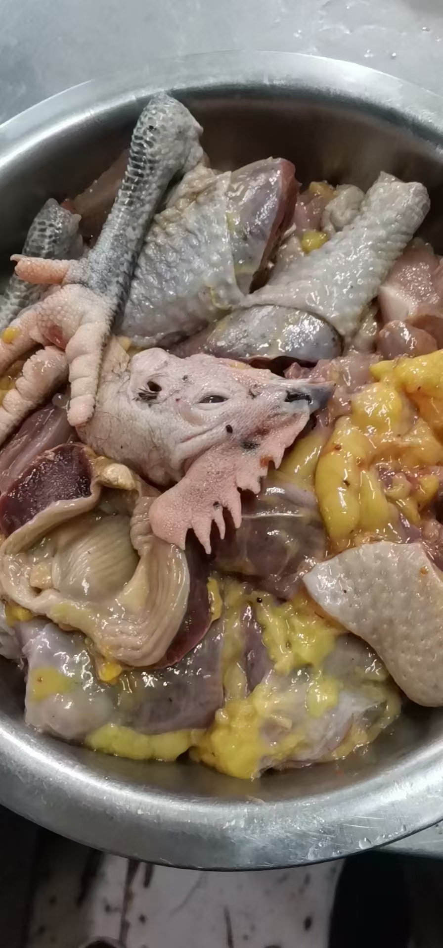 老鼠肉可以吃吗有细菌没