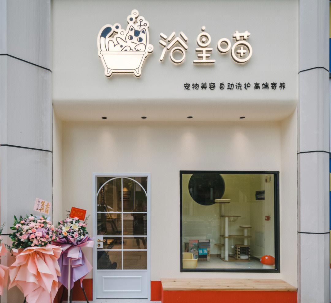 比较有创意的宠物店名字