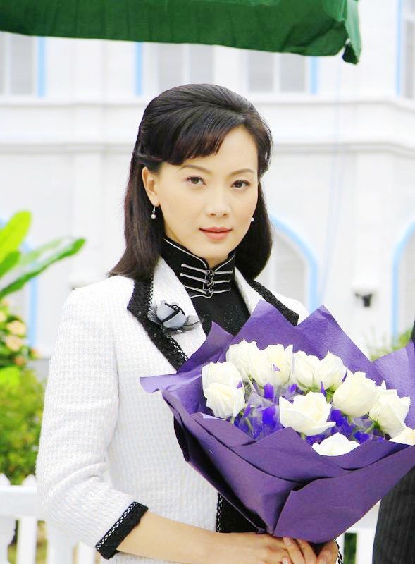 陈数主演的电视剧有哪些