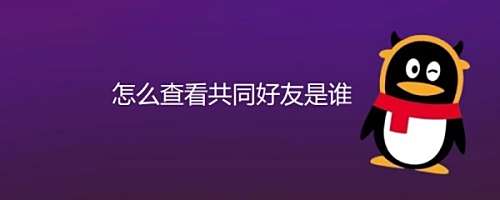 怎么看共同好友是谁