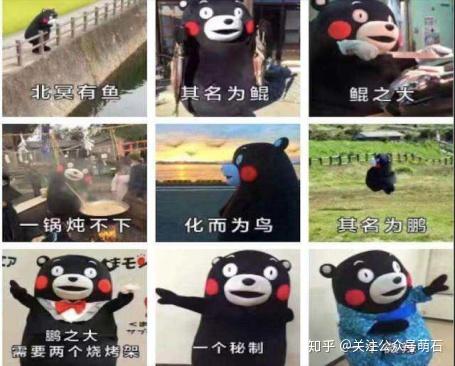养鲲赚钱