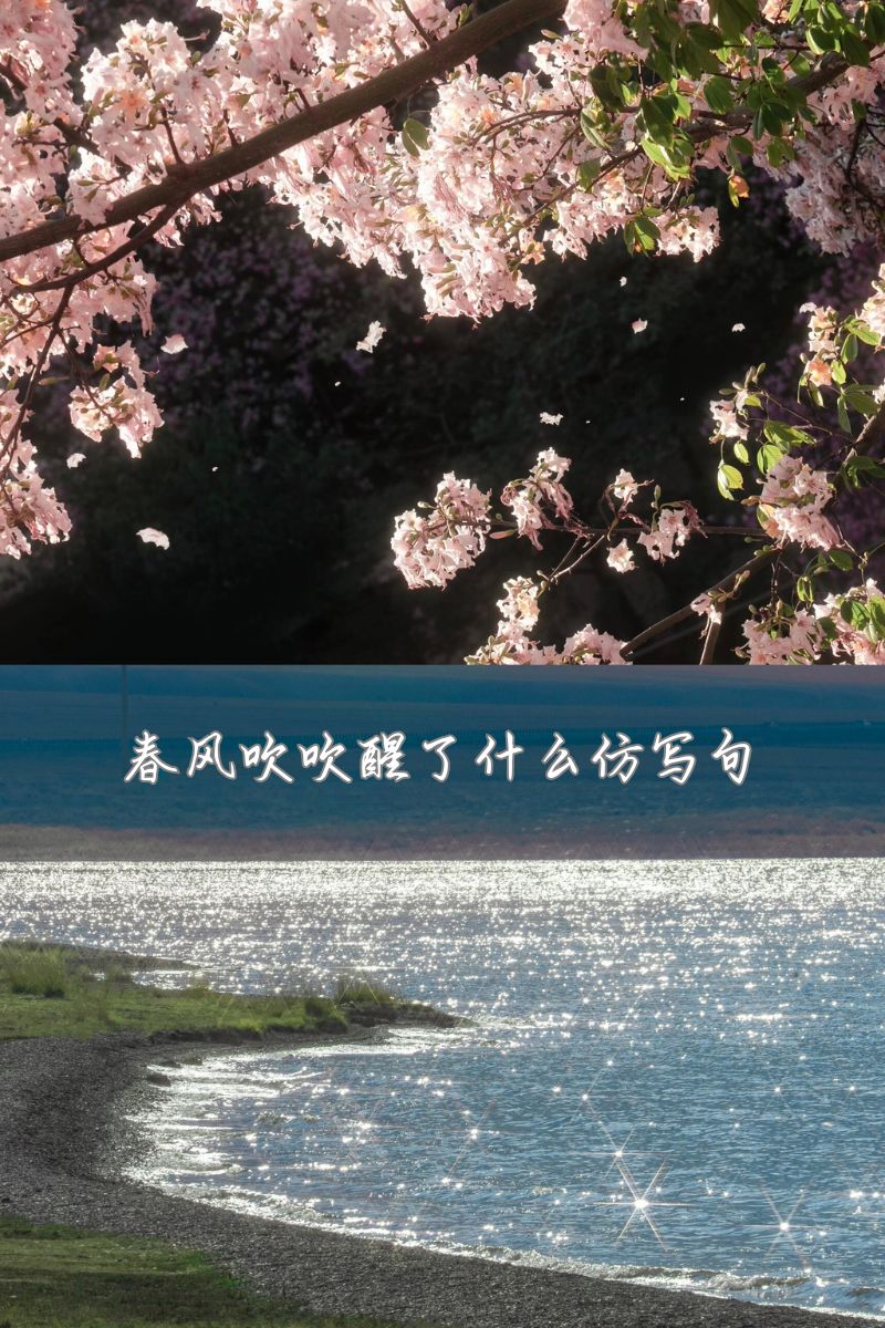 什么的春风填空词语