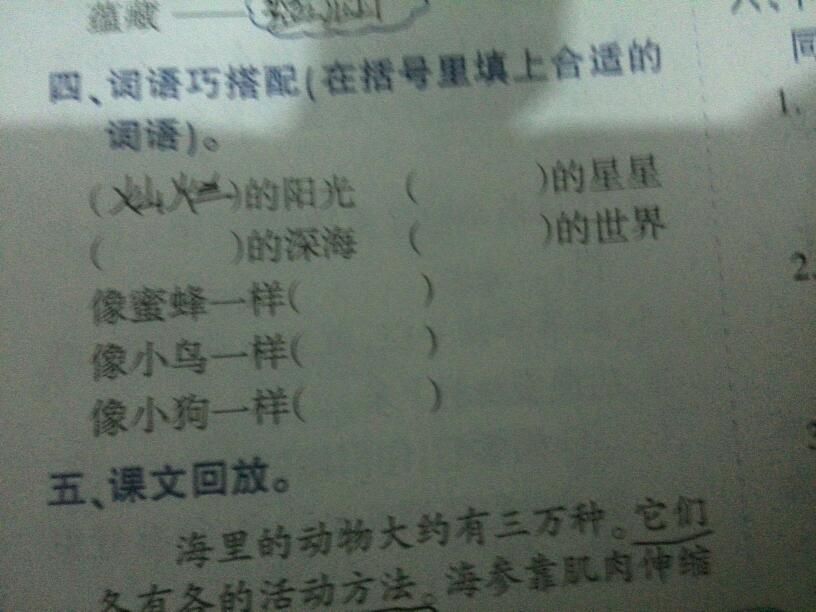 天赋意思相近的词