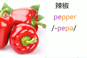 不禁怎么读拼音