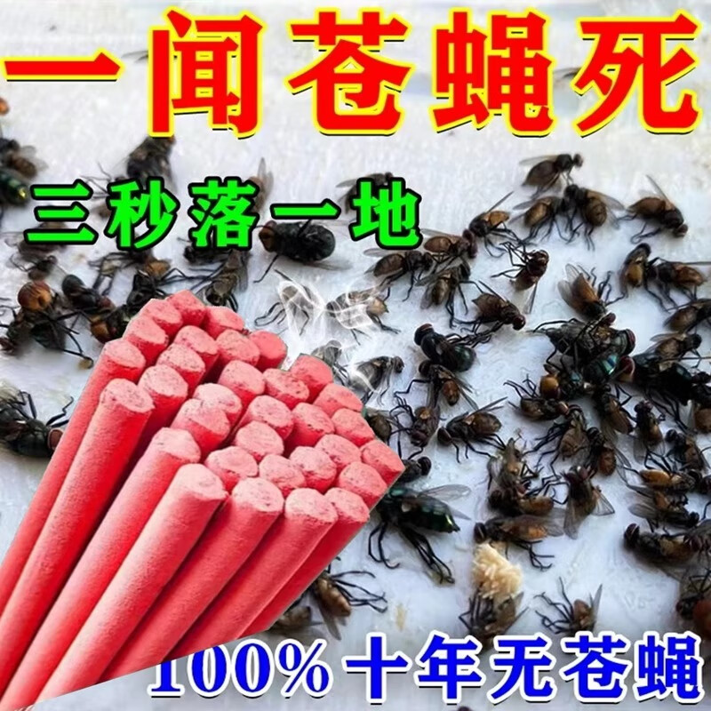 家里全是苍蝇怎么回事啊