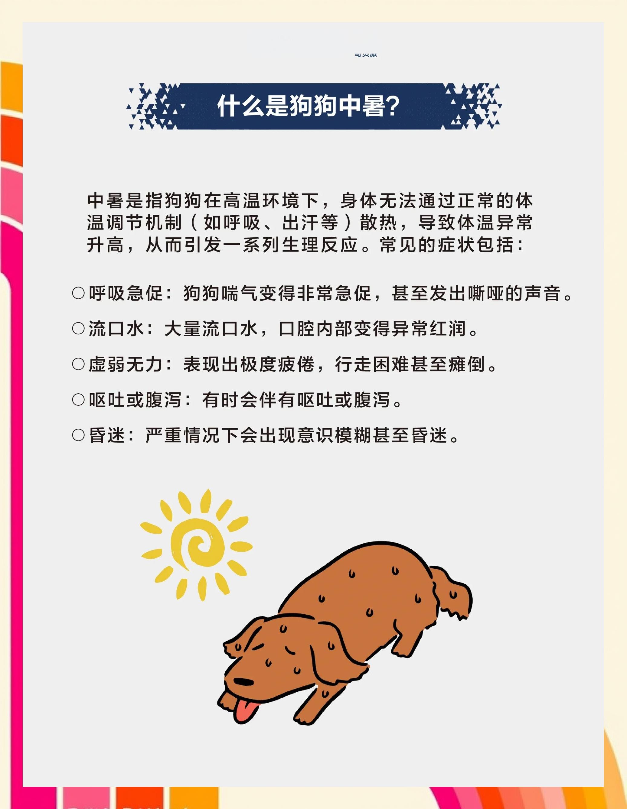 狗中暑啥症状