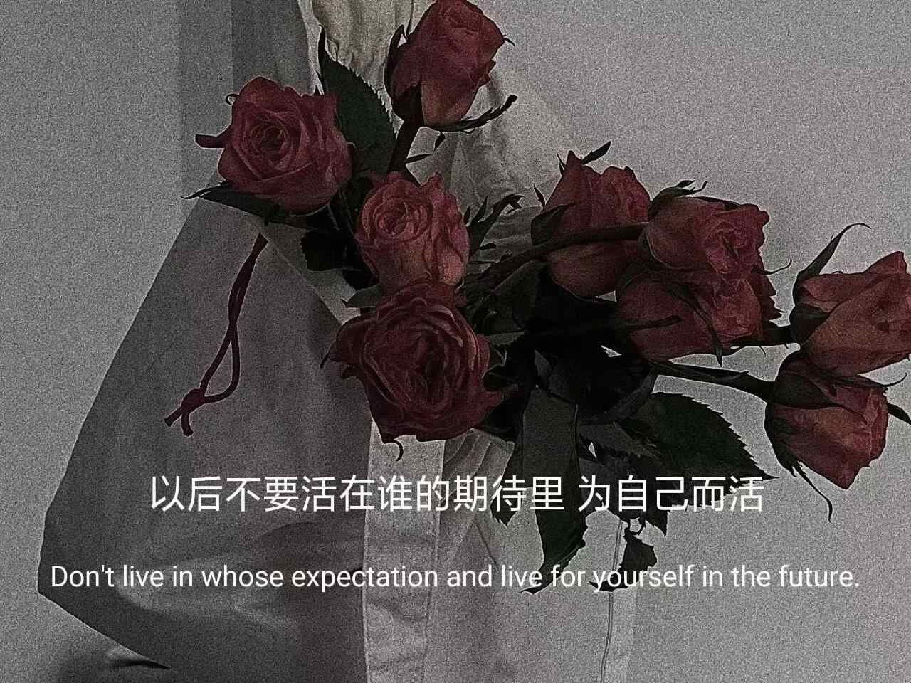 抖音最火的伤感句子短语