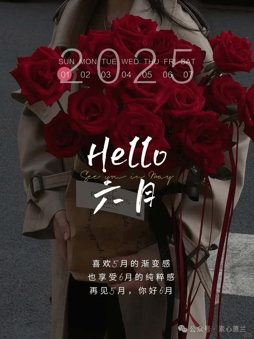 关于六月的句子摘抄