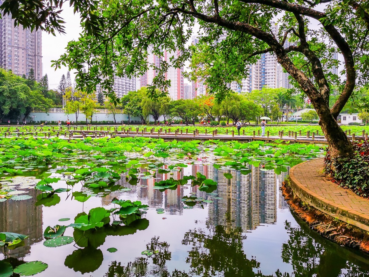深圳洪湖公园游玩攻略路线