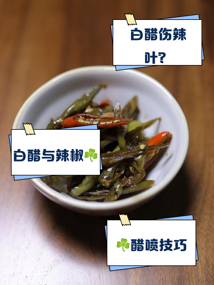 白醋在屋里消毒的方法