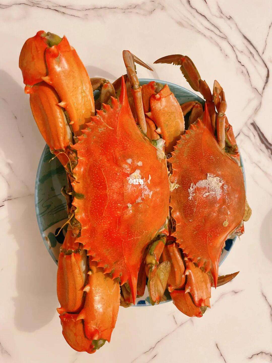 飞蟹是什么品种
