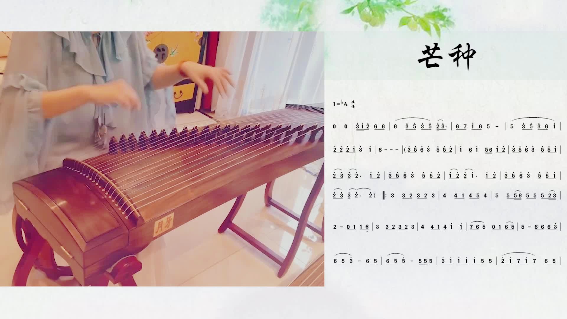 芒种歌词的意思是什么