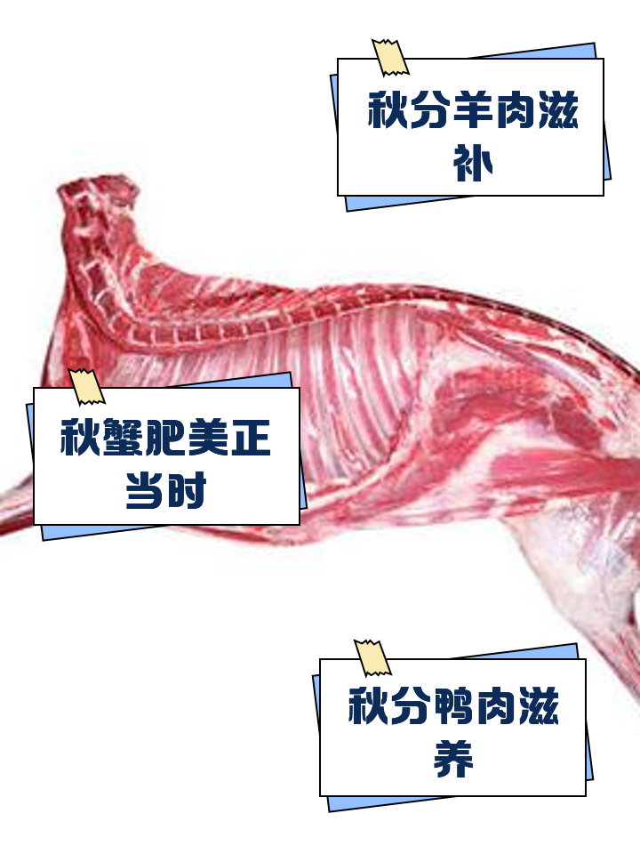 秋分这天吃什么饭最好